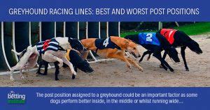 greyhound handicapping|Greyhound Handicapping: Best and Worst Post Positions.